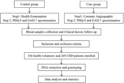 Association of Apelin and Apelin Receptor Polymorphisms With the Risk of Comorbid Depression and Anxiety in Coronary Heart Disease Patients